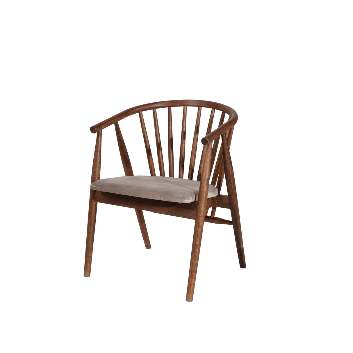 Scaun Albero48, Nuc - Bej, 55x47x77 cm