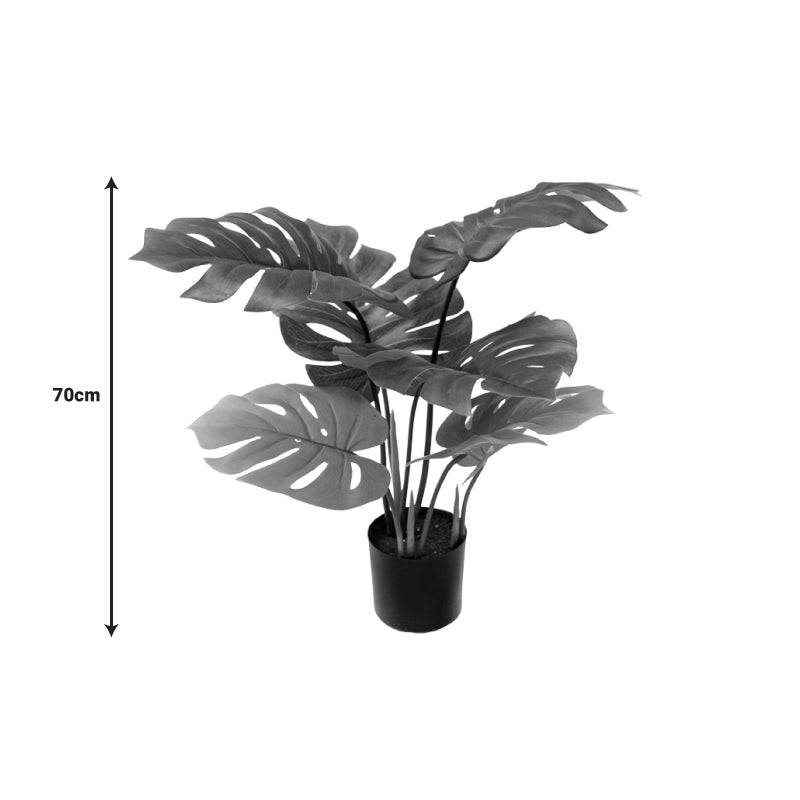 Planta decorativa Monsteraghiveci verde PP H70 cm