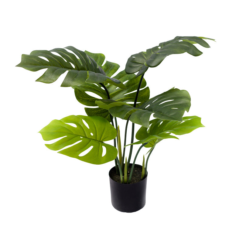 Planta decorativa Monsteraghiveci verde PP H70 cm