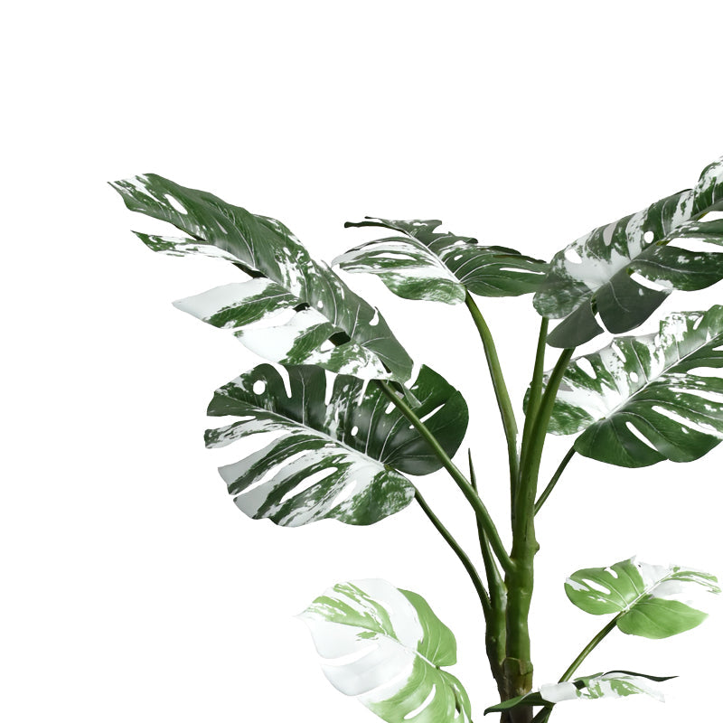 Planta decorativaghiveci Monstera II verde pp H132cm