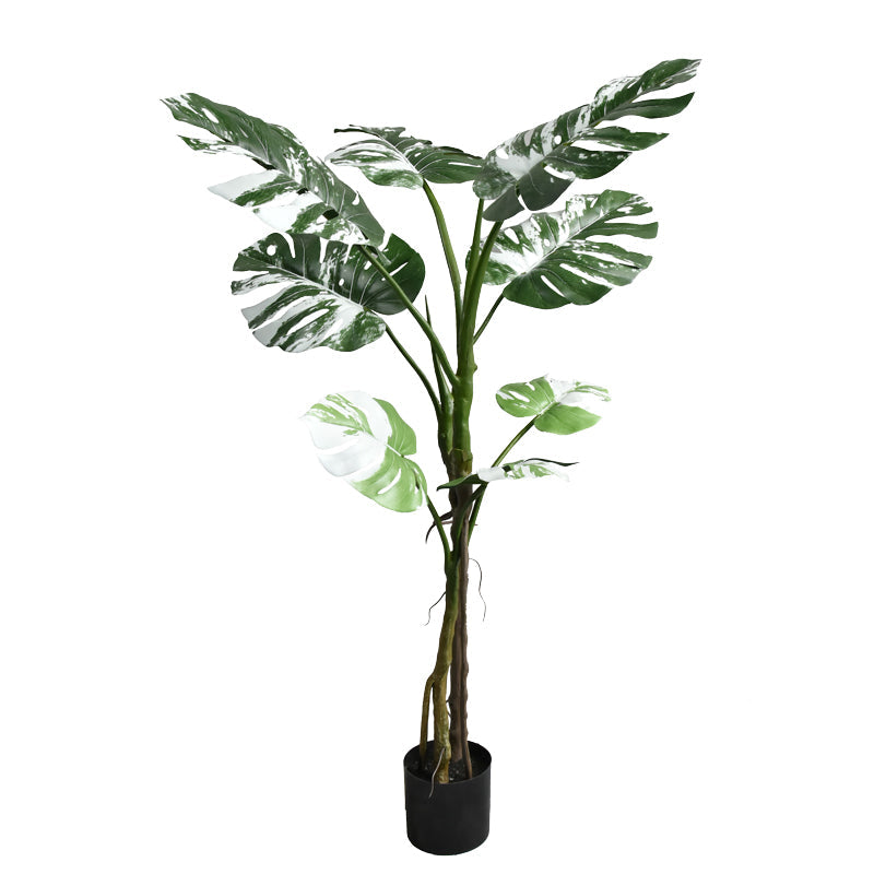 Planta decorativaghiveci Monstera II verde pp H132cm
