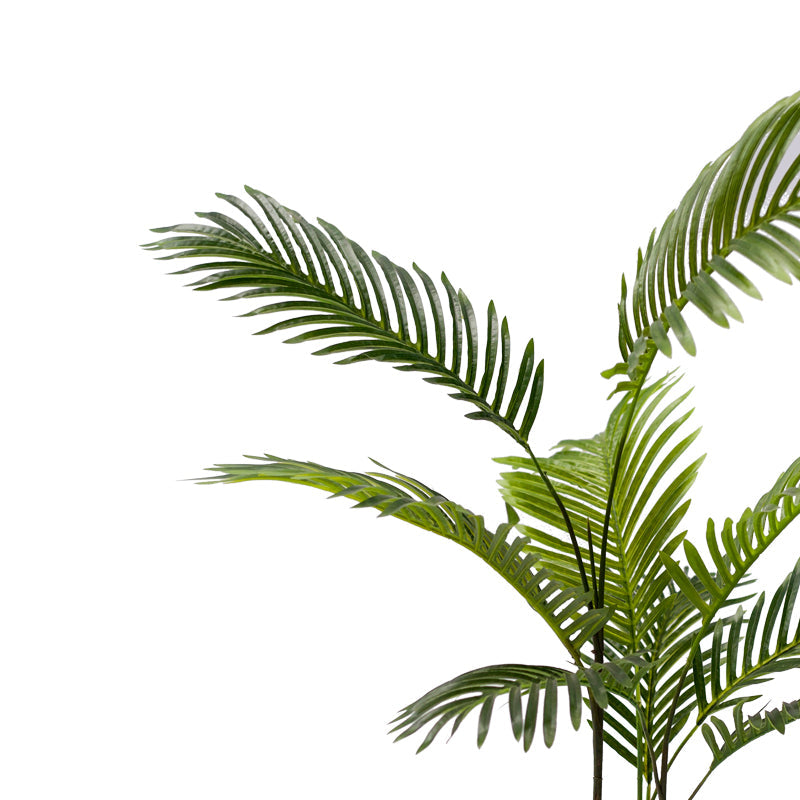 Planta decorativa Arecaghiveci verde pp H80cm
