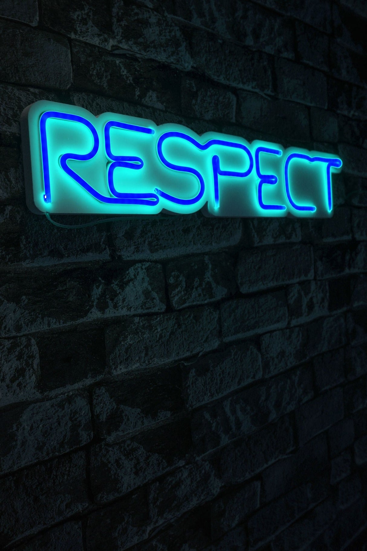 Lampă neon Respect, Diverse culori, 11x57x2 cm - Albastru | SKU: 395NGR2141 | Lampă neon Respect, 11x57x2 cm, varianta Albastru, produs pentru amenajarea locuinței, disponibil online în România la CasaMob