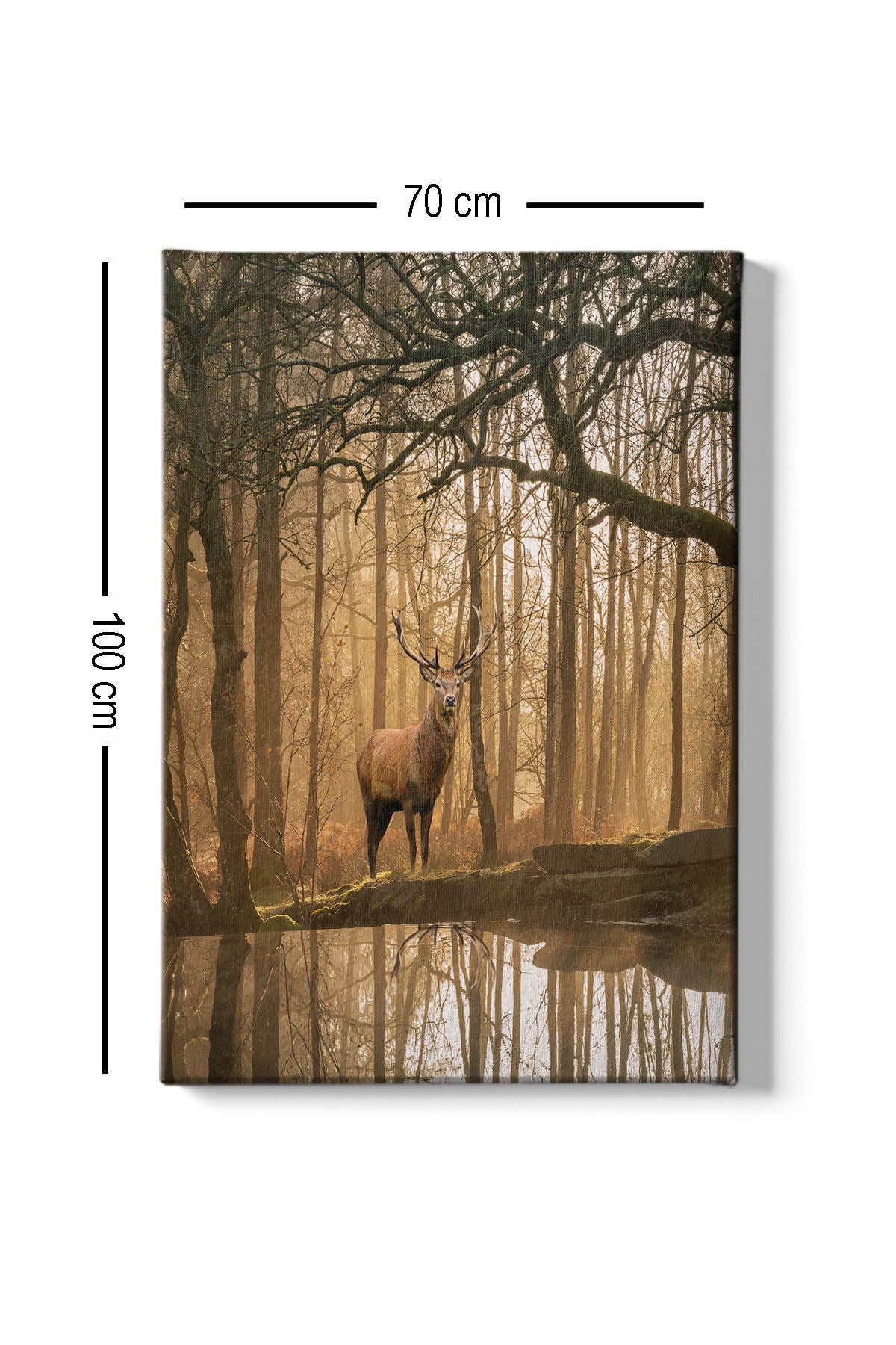 Tablou canvas Kanvas Tablo (70 x 100) - 45, Multicolor, 70x100x3 cm