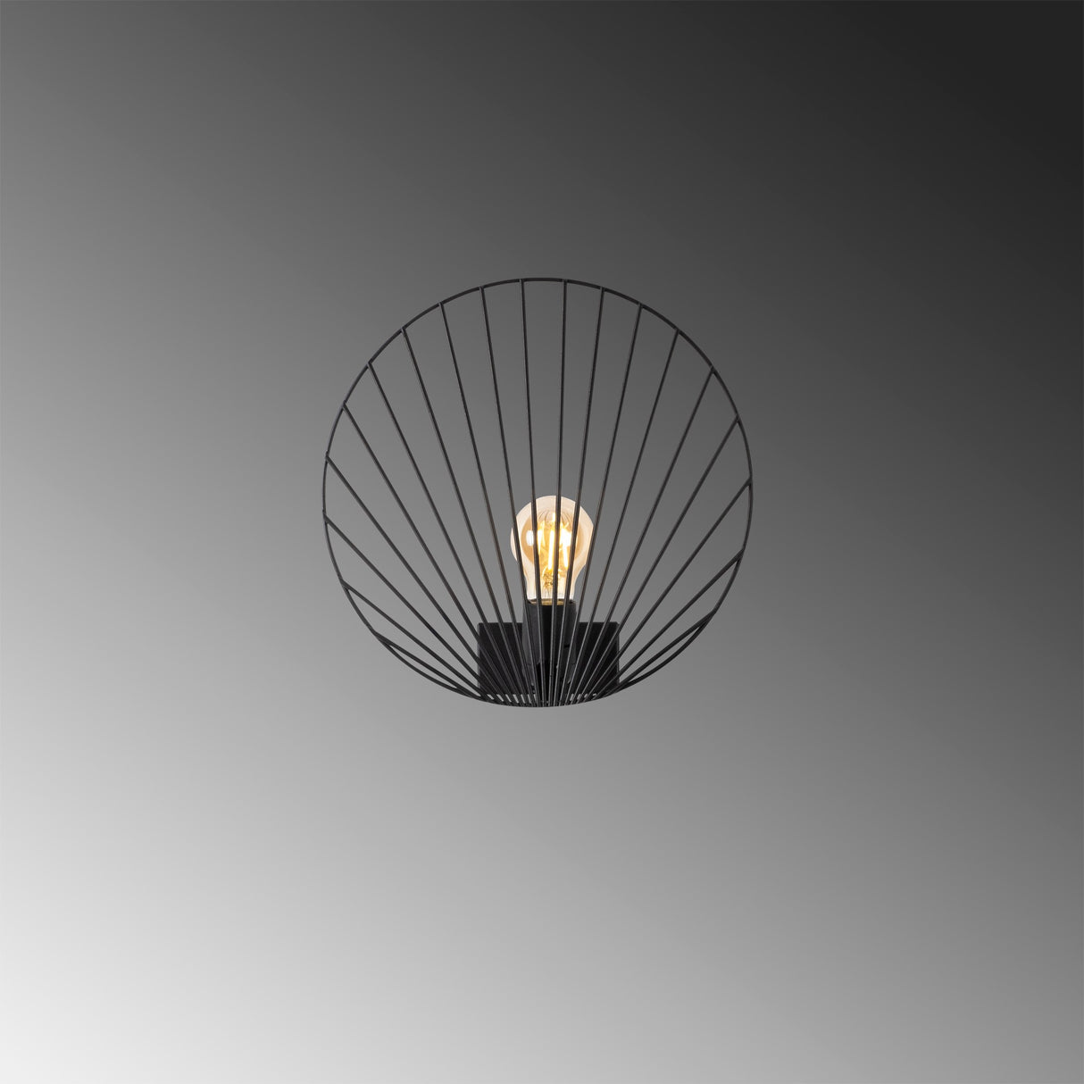 Aplică de perete Byisoo - 3291, Negru, Ø30x30 cm
