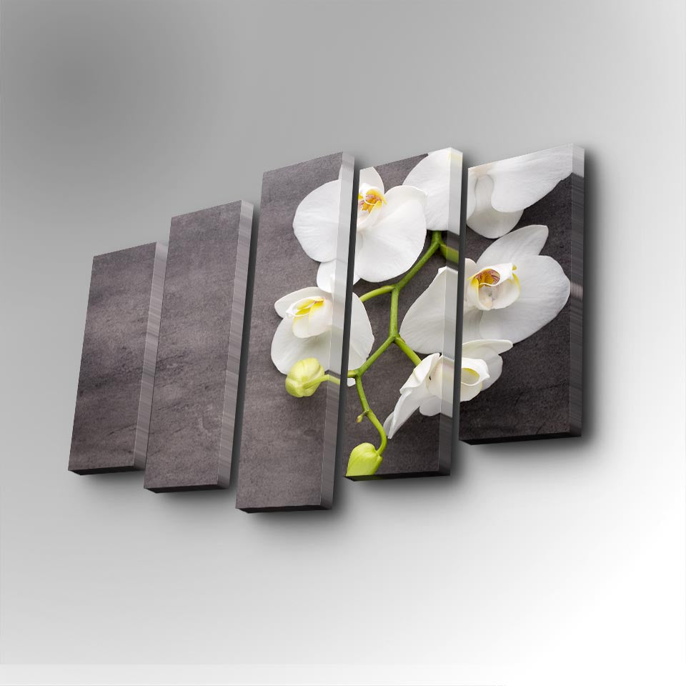 Tablou canvas 5 bucăți 5PUC-031, Multicolor, 82x50x3 cm