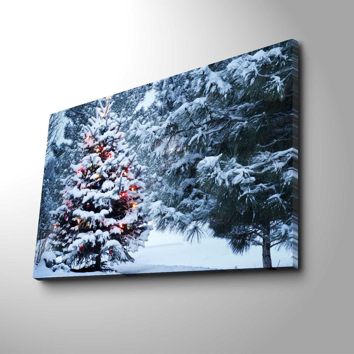Tablou canvas 4570YYC-009, Multicolor, 45x70x3 cm