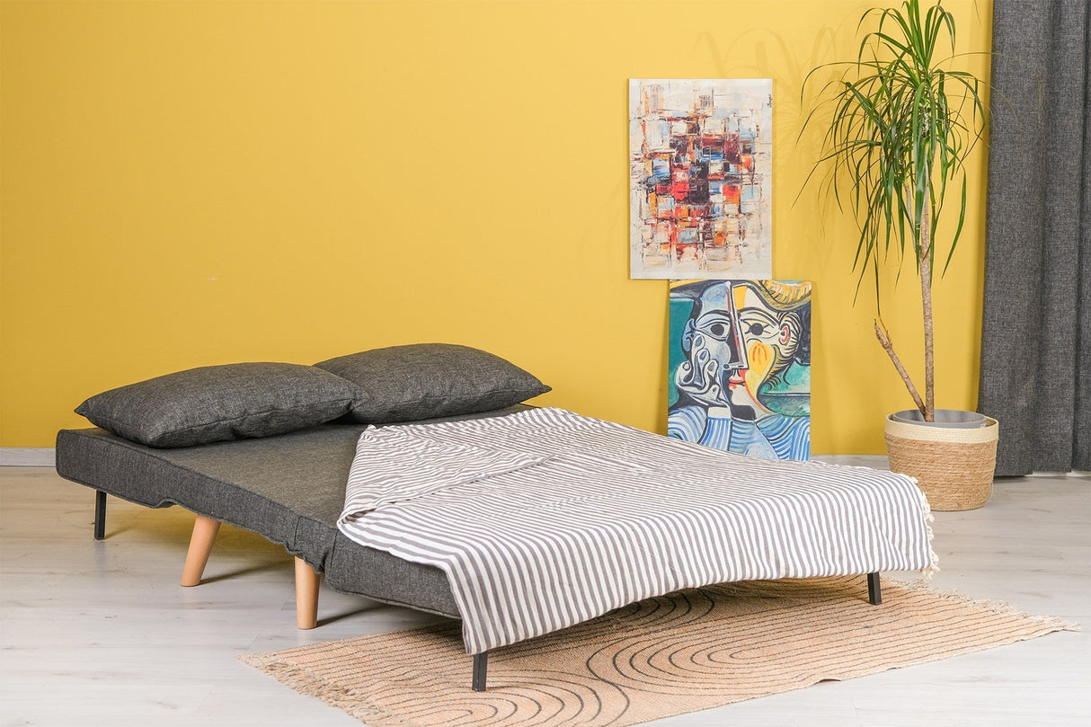 Canapea extensibilă 2 locuri Folde, Diverse culori, 120x80x79 cm - Gri închis | SKU: 859FTN2714 | Canapea extensibilă 2 locuri Folde, 120x80x79 cm, varianta Gri închis, produs pentru amenajarea locuinței, disponibil online în România la CasaMob