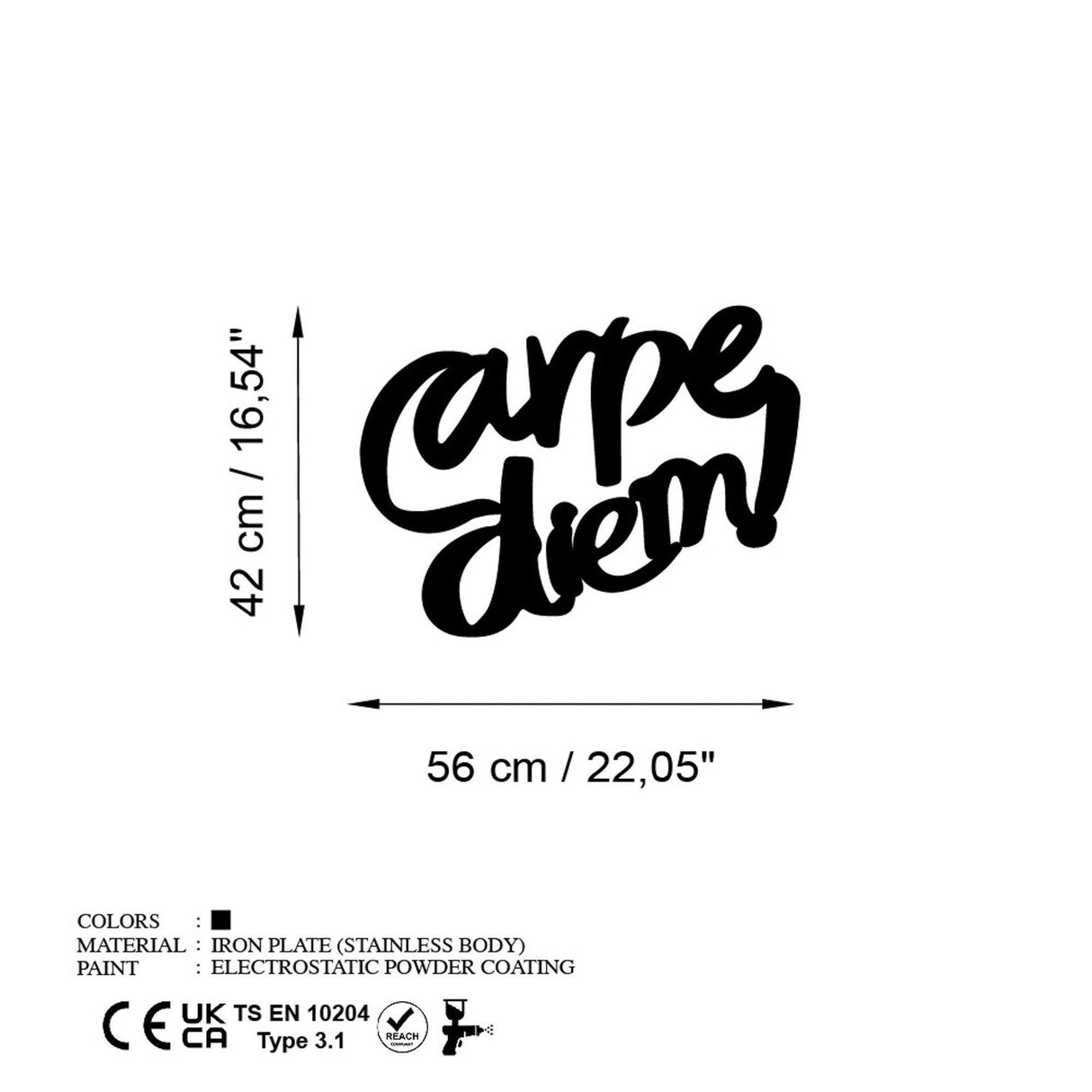 Decoratiune de perete Metal Carpe Diem 5, Negru, 56x42 cm
