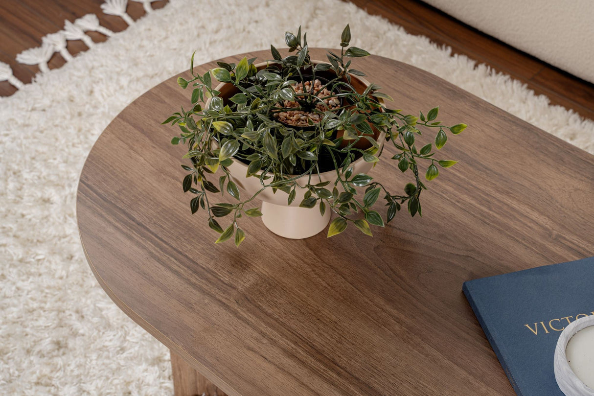 Măsuță de cafea Sable, Diverse culori, 119x60x40 cm - Venezia walnut | SKU: 909NRD1109 | Măsuță de cafea Sable, 119x60x40 cm, varianta Venezia walnut, produs pentru amenajarea locuinței, disponibil online în România la CasaMob