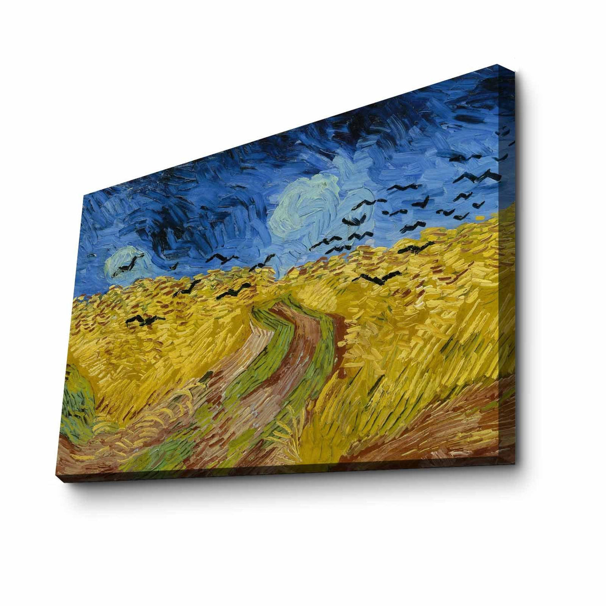 Tablou Canvas Corb, Multicolor, 70 x 45 cm