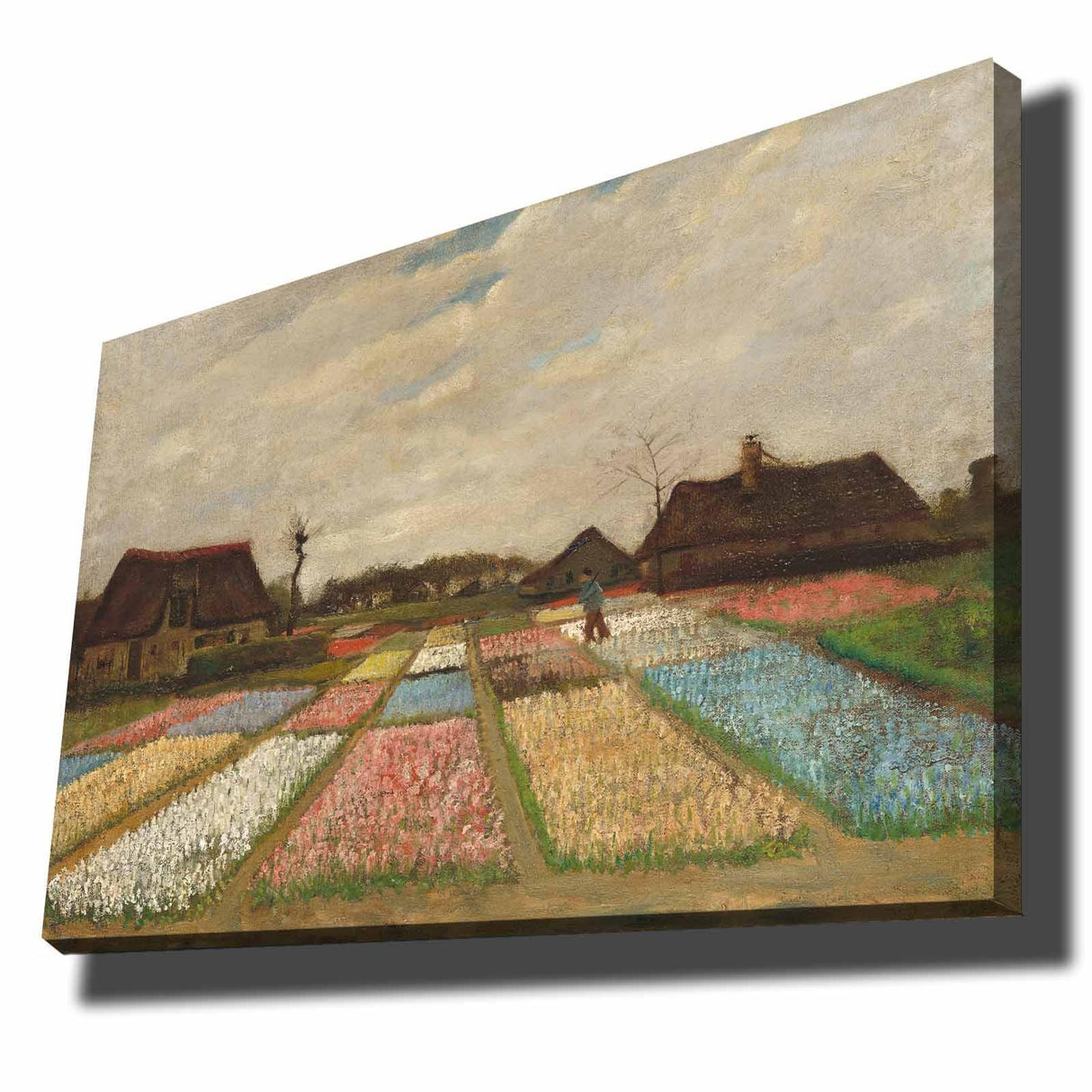 Tablou Canvas Gradina Lalele, Multicolor, 100 x 70 cm