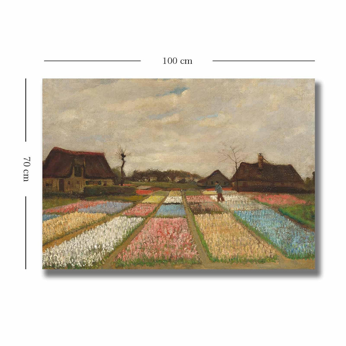 Tablou Canvas Gradina Lalele, Multicolor, 100 x 70 cm