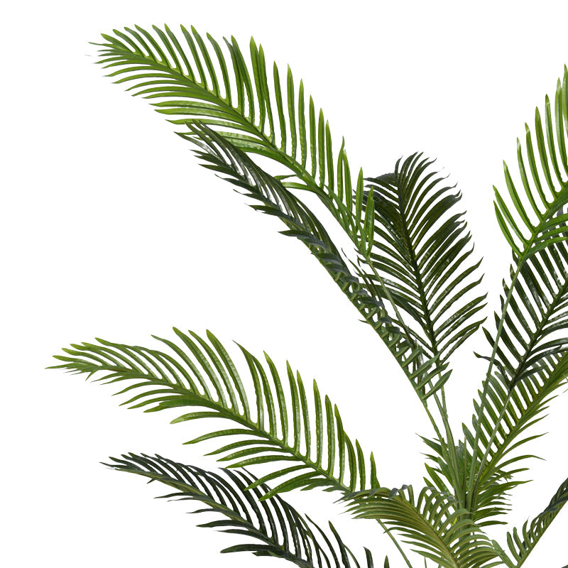 Planta decorativa Areca IIghiveci, verde, H150cm