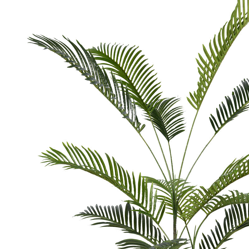 Planta decorativa Areca IIIghiveci, verde, H180cm