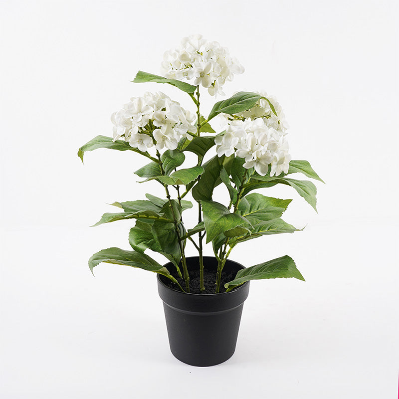 Plantă decorativă cu ghiveci Hydrangea, Alb, 35x50 cm