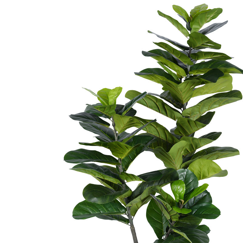 Planta decorativa Fiddlehead Ighiveci, verde, H180cm