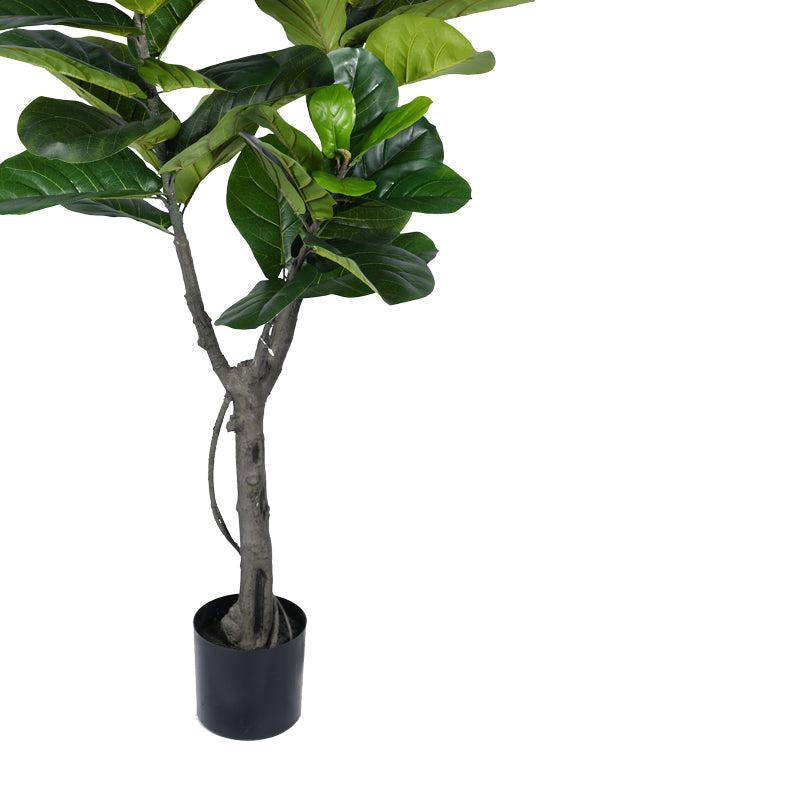 Planta decorativa Fiddlehead Ighiveci, verde, H180cm