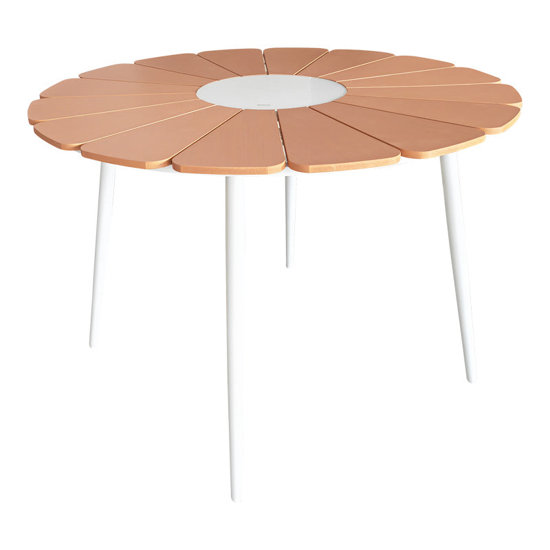 Set masa si scaune Pinap-Dashiell, 5 piese, D110x74 cm - Alb-Natural