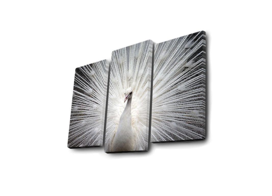 Tablou Canvas cu Led Paun, Multicolor, 66x45 cm