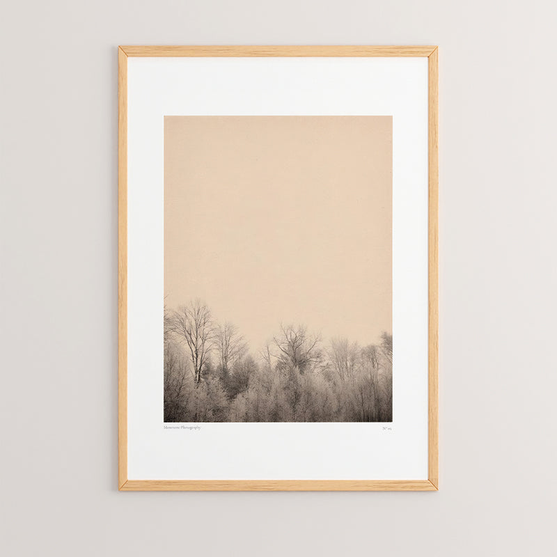 Tablou Quany, Multicolor, 33x48 cm