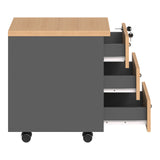 Corp mobil Fesialo, Diverse culori, 39x47x53 cm - Natural-Antracit | SKU: 030-000037 | Corp mobil Fesialo, 39x47x53 cm, varianta Natural-Antracit, produs pentru amenajarea locuinței, disponibil online în România la CasaMob