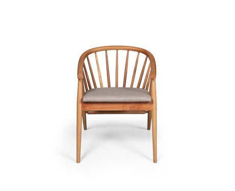 Scaun Rizoma, Natur, Diverse dimensiuni