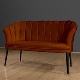 Canapea fixă 2 locuri Daisy metal negru, Diverse culori, 103x44x51 cm - Roșu cărămiziu | SKU: 118BRN1509 | Canapea fixă 2 locuri Daisy metal negru, 103x44x51 cm, varianta Roșu cărămiziu, produs pentru amenajarea locuinței, disponibil online în România la CasaMob