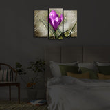 Tablou Canvas cu Led 3PATİACT, Multicolor, 66x45 cm