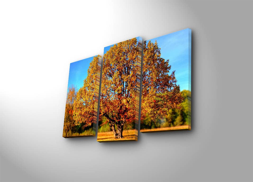 Tablou Canvas cu Led 3PATİACT, Multicolor, 66x45 cm
