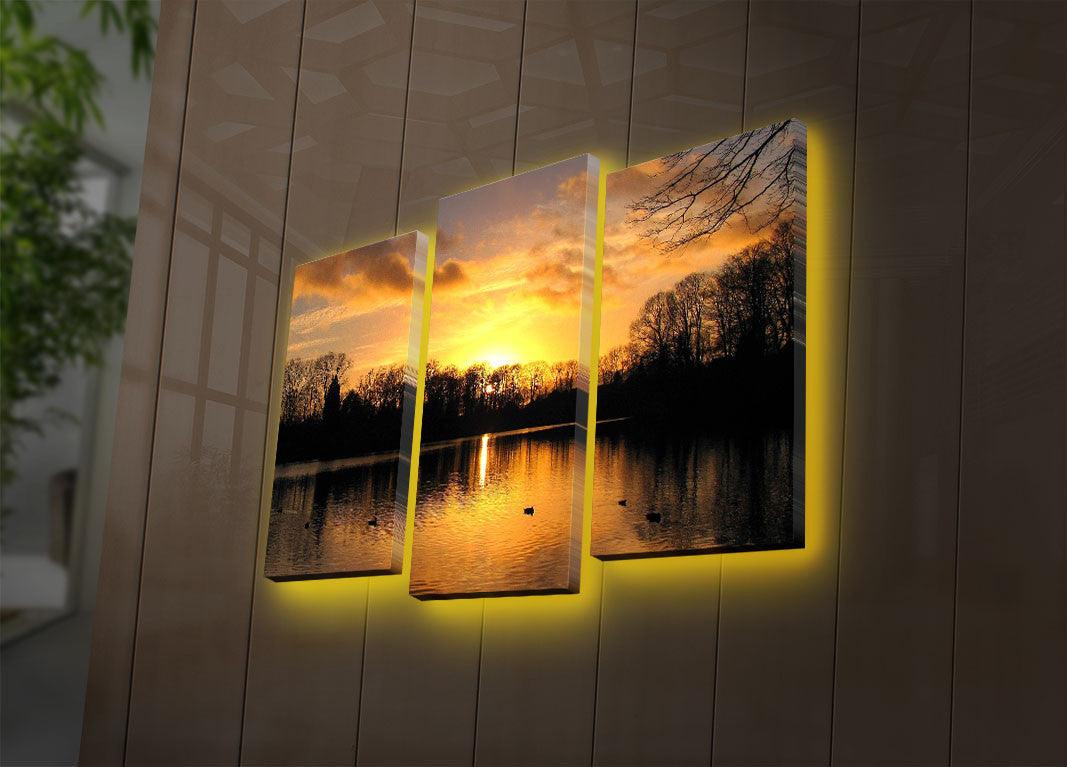 Tablou Canvas cu Led Herastrau, Multicolor,  66 x 45 cm