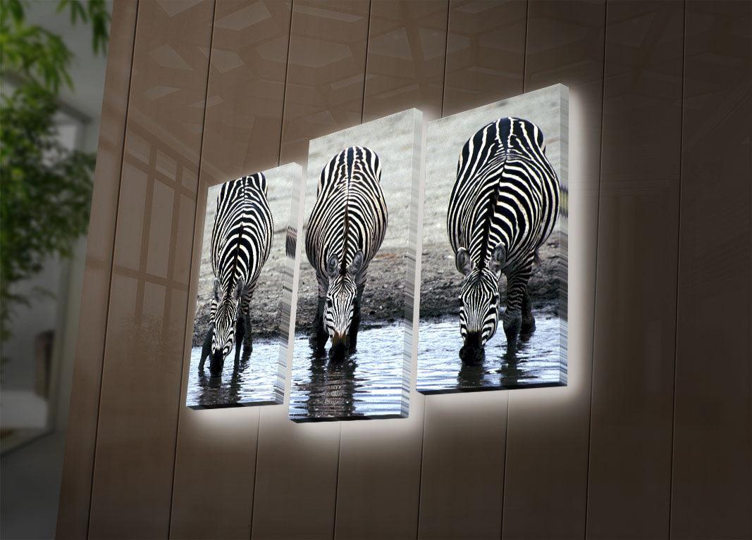 Tablou Canvas cu Led Zebra, Multicolor, 66 x 45 cm, SKU 254LED4288
