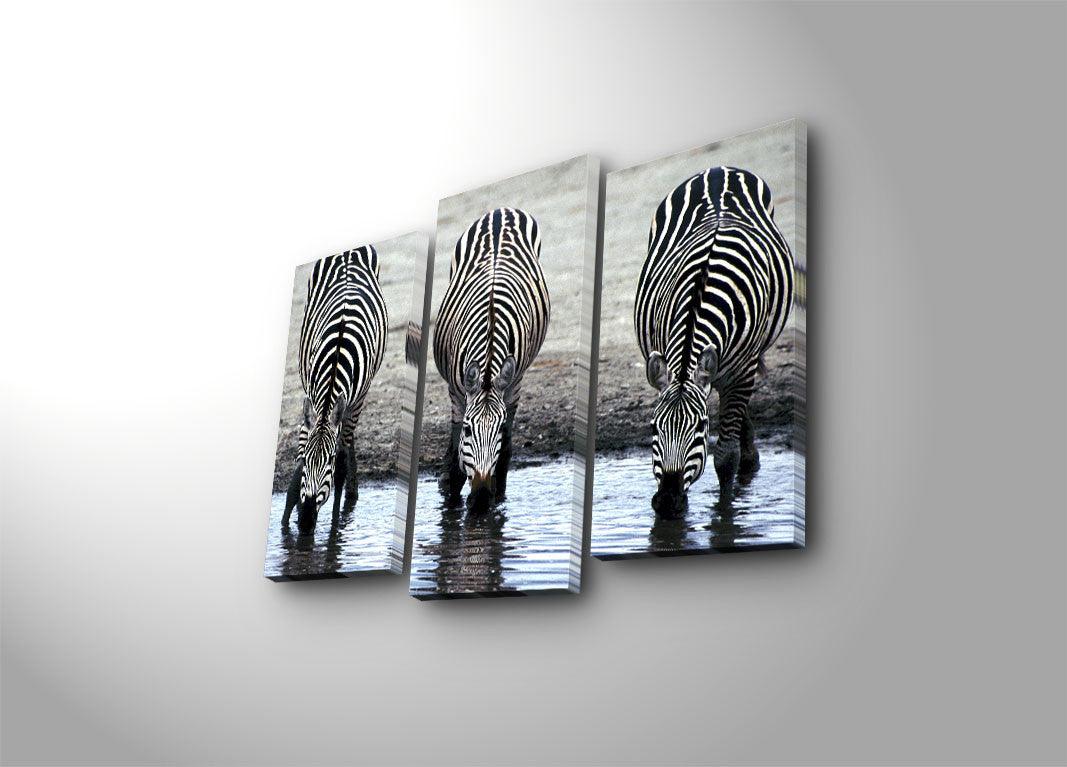 Tablou Canvas cu Led Zebra, Multicolor, 66 x 45 cm, SKU 254LED4288