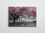 Tablou Canvas KNV4501_5070, Multicolor, 50x70 cm