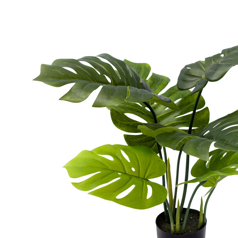 Planta decorativa Monsteraghiveci verde  PP H70 cm