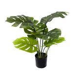Planta decorativa Monsteraghiveci verde  PP H70 cm