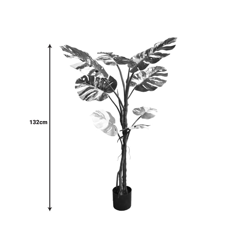 Planta decorativaghiveci Monstera II  verde pp H132cm