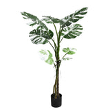 Planta decorativaghiveci Monstera II  verde pp H132cm