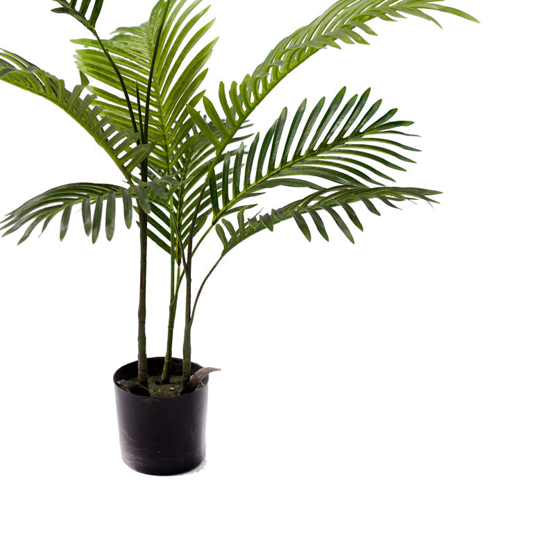 Planta decorativa Arecaghiveci  verde pp H80cm