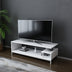 Alb | SKU: 322RTC2230 | Comodă TV Reilly, 120x45x38 cm, varianta Alb, produs pentru amenajarea locuinței, disponibil online în România la CasaMob