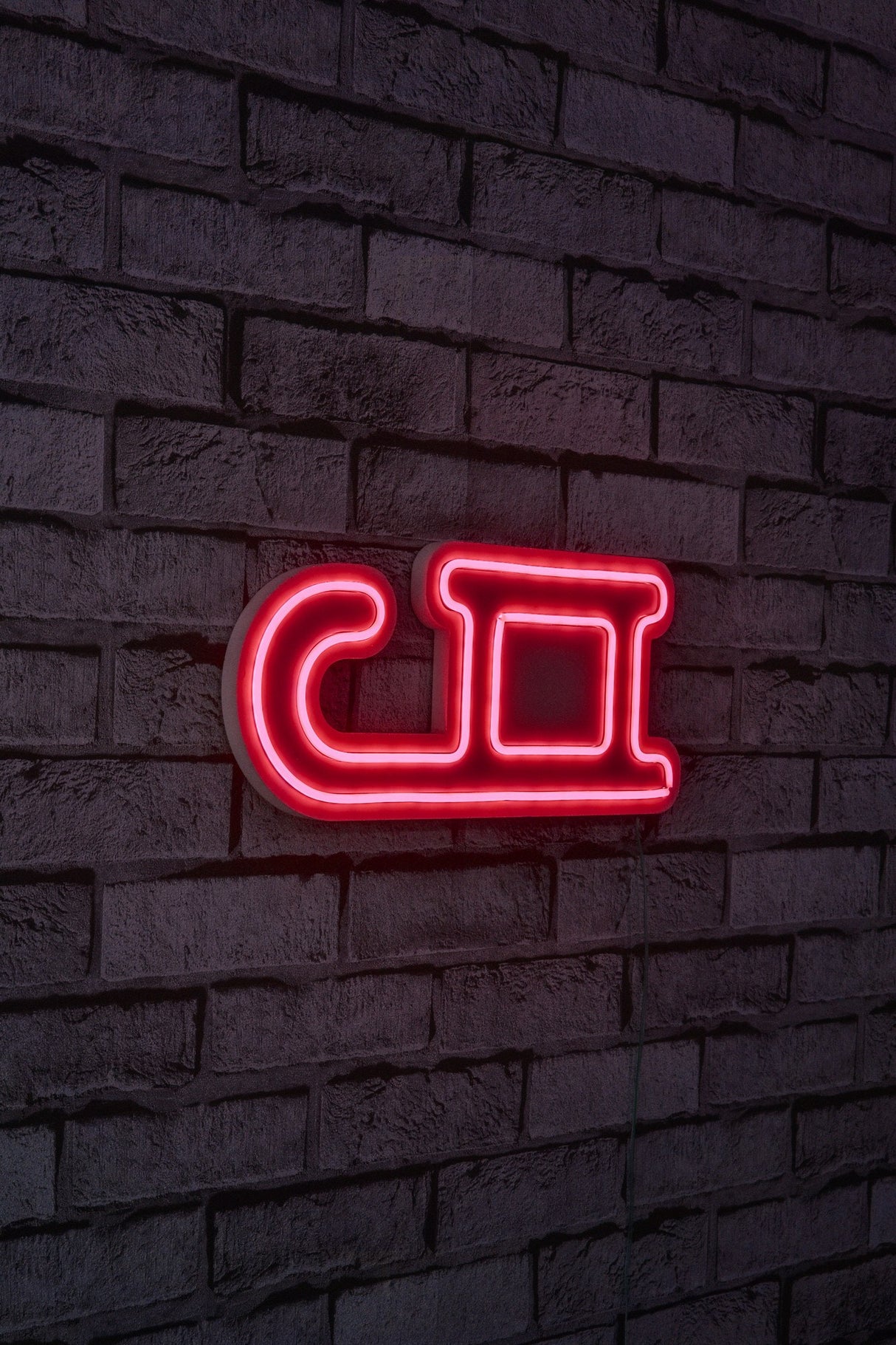 Lampă neon Sled, Diverse culori, 38x17x2 cm - Roșu | SKU: 395NGR1953 | Lampă neon Sled, 38x17x2 cm, varianta Roșu, produs pentru amenajarea locuinței, disponibil online în România la CasaMob