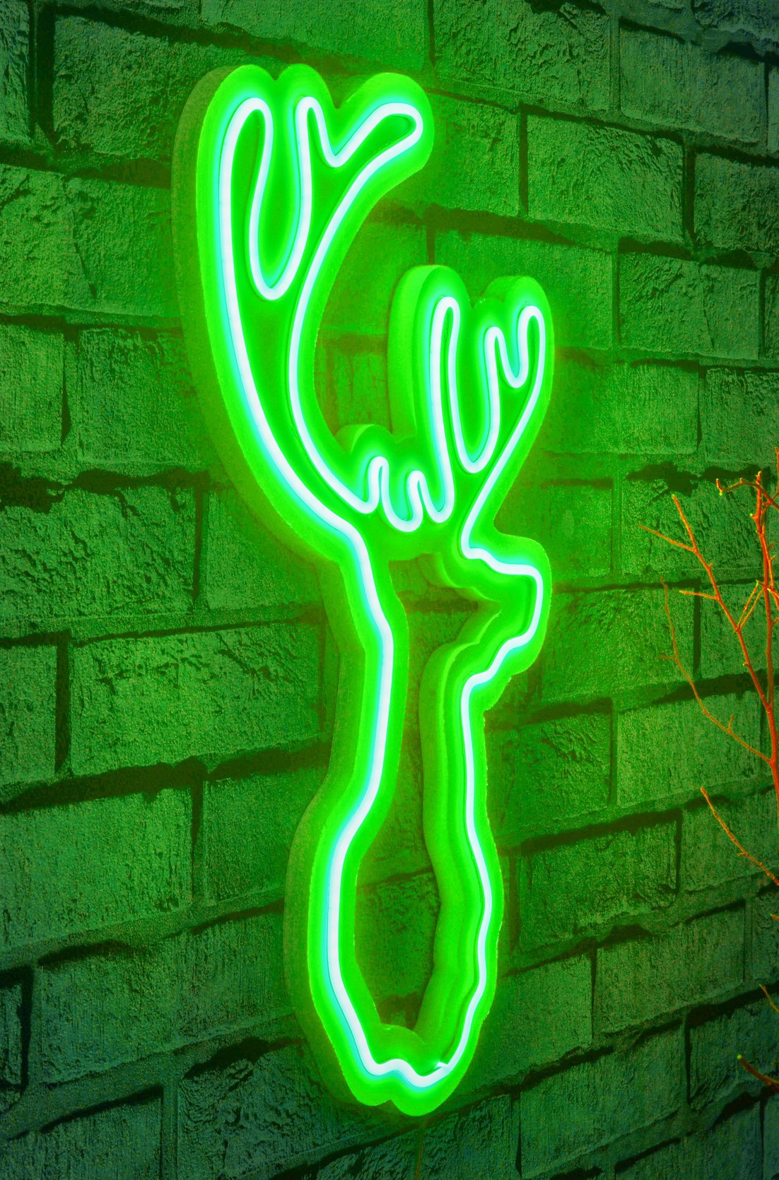 Lampă neon Deer, Diverse culori, 21x34x2 cm - Verde | SKU: 395NGR1985 | Lampă neon Deer, 21x34x2 cm, varianta Verde, produs pentru amenajarea locuinței, disponibil online în România la CasaMob