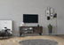 Antracit | SKU: 495SSE1617 | Comodă TV Jena, 120x29x50 cm, varianta Antracit, produs pentru amenajarea locuinței, disponibil online în România la CasaMob