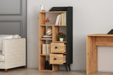 Bibliotecă Star, Diverse culori, 62x30x130 cm - Pin atlantic - Negru | SKU: 505CRL1801 | Bibliotecă Star, 62x30x130 cm, varianta Pin atlantic - Negru, produs pentru amenajarea locuinței, disponibil online în România la CasaMob
