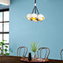 Alb, SKU 527ABY1732