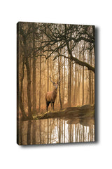 Tablou canvas Kanvas Tablo (70 x 100) - 45, Multicolor, 70x100x3 cm