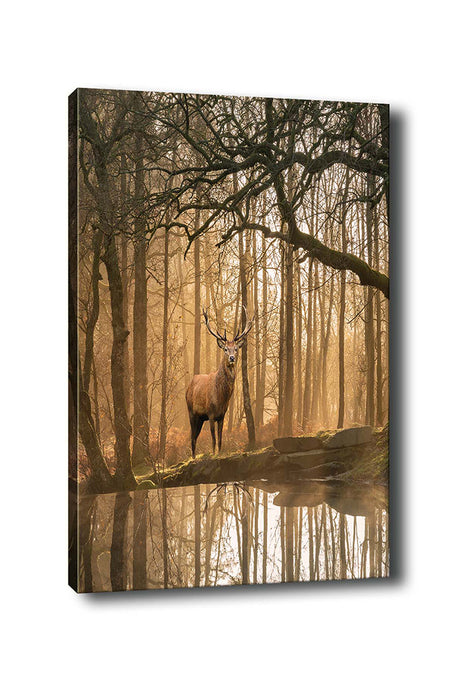 Tablou canvas Kanvas Tablo (70 x 100) - 45, Multicolor, 70x100x3 cm