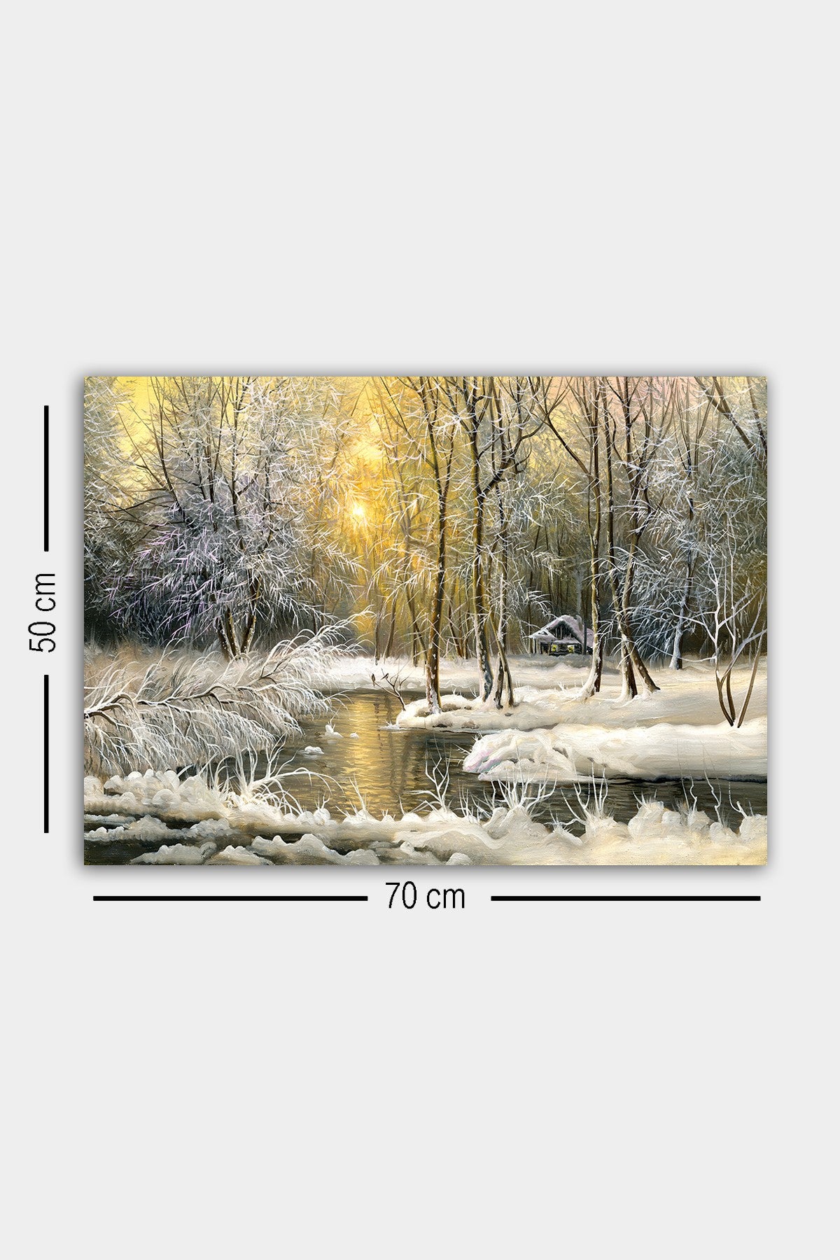 Tablou canvas 23800825-5070, Multicolor, 50x70x3 cm