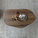 Măsuță de cafea Nova, Diverse culori, 100x60x35 cm - Măsuță de cafea Nova, Diverse culori, 100x60x35 cm, SKU 552NOS2604, imagine 6
