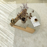 Măsuță de cafea Mia, Diverse culori, 75x75x35 cm - Stejar - Transparent | SKU: 552NOS2546 | Măsuță de cafea Mia, 75x75x35 cm, varianta Stejar - Transparent, produs pentru amenajarea locuinței, disponibil online în România la CasaMob